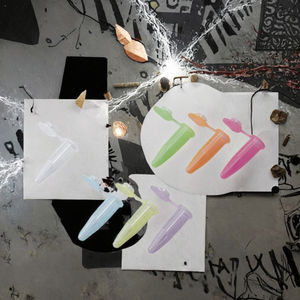 इकेम माइक्रोसेंट्रीफ्यूगल ट्यूब पारदर्शी और रंगीन प्रयोगशाला प्रोफ्यूगल ट्यूब 0.2 एमएल से 2 मिली पीपी प्लास्टिक सेंट्रीफ्यूगल ट्यूब - Product Image 3