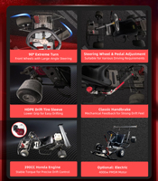 Karting à essence 390CC pour adultes, haute performance, 4 temps, frein à main, moteur à essence, karting personnalisé selon les besoins