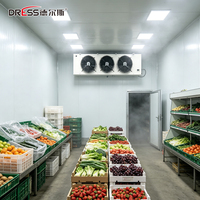 Unidad de Refrigeración Industrial Grande para Cámaras Frigoríficas, Completa con Compresor Copeland Scroll para Almacenamiento en Frío, Venta al por Mayor