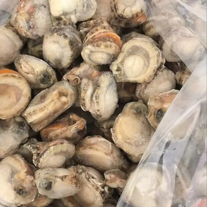 Competitivo esportatore di carne di capesante congelato e importatore di frutti di mare cozza senza guscio di molluschi prodotto - Product Image 1