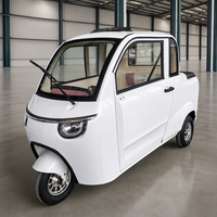 Nouvelle Arrivée Véhicule Électrique Automatique à Trois Roues 2 Places avec Cabine Fermée, Batterie au Plomb, Chariot Utilitaire pour Jardin et Ferme en Promotion