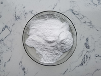 Poudre d'enzyme papaïne de qualité alimentaire, extrait naturel de papaye, prix de gros en vrac