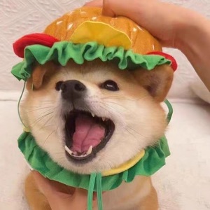 Dog and <b>cat</b> hamburger headbands, neck warmers, hats, cartoon pet accessories, <b>clothes</b>, funny outfits, Shiba Inu, Corgi, <b>cats</b> - Product Image 1