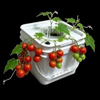 Système de culture hydroponique à 30 trous pour plantes, jardin vertical, tour hydroponique avec pompe et minuterie, livraison économique
