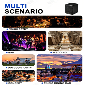 Système de sonorisation colonne active professionnelle LEON AUDIO, caisson de basses 10 pouces, enceintes <span class=keywords><strong>satellite</strong></span> 4 pouces, puissance maximale 1200W, Bluetooth/USB/XLR - Product Image 6