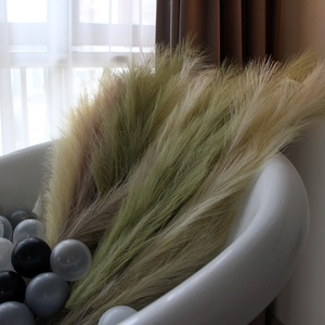 Fleurs artificielles d'herbe <span class=keywords><strong>de</strong></span> <span class=keywords><strong>pampa</strong></span>-Herbe <span class=keywords><strong>de</strong></span> <span class=keywords><strong>pampa</strong></span> artificielle <span class=keywords><strong>de</strong></span> haute qualité et herbe <span class=keywords><strong>de</strong></span> <span class=keywords><strong>pampa</strong></span> rouge pour une décoration élégante pour la maison et l'événement - Product Image 3