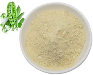 Polvo aislado de proteína de haba suministro de fábrica ISO - Product Image 2