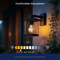 Ampoule LED A19 en verre de haute qualité, du crépuscule à l'aube, 800LM 1400LM 120V, avec capteur de lumière, pour la maison, l'hôtel, l'entrée, certifiée UL