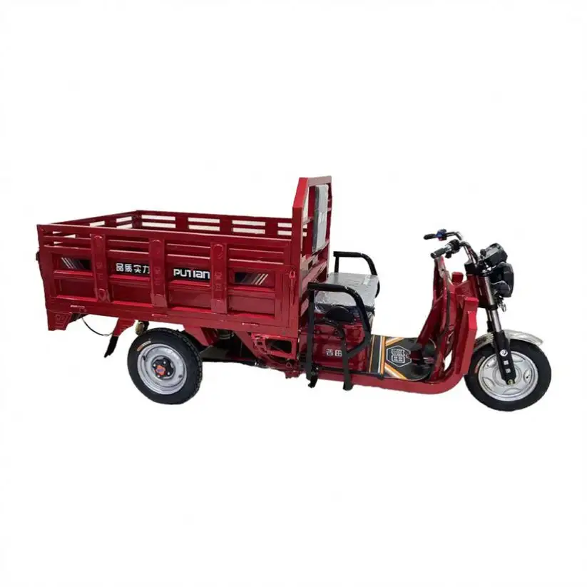 Hot Sale Open 100cc Cub Motorcycle electric tricycle for