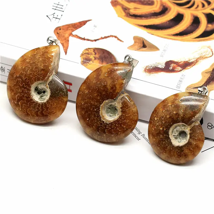 Colar de concha natural, colar com pingente de ammonite, fósilos e ammonitas, lembranças de casamento