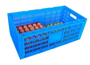 JOIN Newest Design Plastic Egg Tray Plastic Incubator Chicken Egg Tray Reusable <strong>Packing</strong> <strong>Crate</strong> for 30 Eggs - Product Image 4