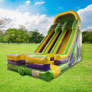 Tùy chỉnh Ngoài Trời Dành cho người lớn thương mại trượt nước Inflatable giá rẻ sân sau trượt bơm hơi - Product Image 1