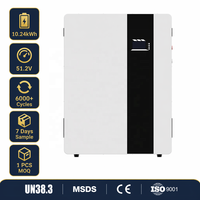 Batterie solaire LiFePO4 murale résidentielle 51,2 V 100 Ah/200 Ah, alimentation de secours hybride pour système de stockage d'énergie hors réseau