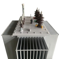 Transformateur de puissance triphasé immergé dans l'huile S20-M-250/10-0.4KV 250 kVA à noyau en cuivre 50/60 Hz pour postes de transformation d'usine