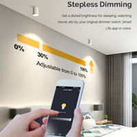 ANDELI Basic Smart Domotique DIY Intelligent Intelligent Wifi Télécommande Sans Fil Module Relais Universel Lumière Puissance Mini Commutateur