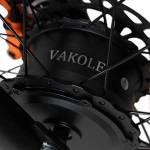 Vakole CO20 Max Folding Fat Tire Ebike 750W Dual Motor 960Wh Torque Sensor IP65 150kg OEM B2B folding fat electric bike 960wh - Product Image 6