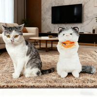 Faites de votre animal de compagnie un jouet en peluche, personnalisez des poupées, réalisez un jouet en peluche d'animal de compagnie réaliste, un chat, un jouet en peluche original, un compagnon câlin avec NFC