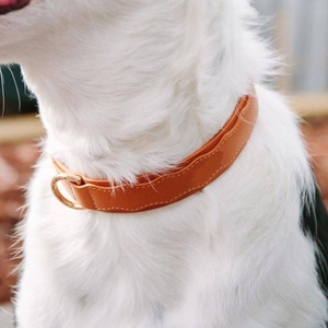 Entrenamiento de perros de caza de cuero Logotipo grabado Tamaño personalizado S M L <span class=keywords><strong>Collar</strong></span> cómodo para caminar con mascotas - Product Image 3