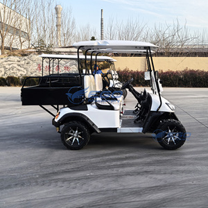 Carrito de Golf Eléctrico de 2 Plazas, Tipo Club Car, para 2 Pasajeros, con Motor y Compatibilidad con Combustible, Envío Gratis - Product Image 3