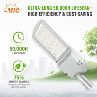 Ledmic - Farola LED de Grado de Infraestructura de 100W, 150W, 200W, D4i Inteligente, Proveedor de Proyectos EPC para Estaciones de Tren y Centros Ferroviarios