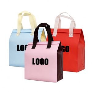 Bolsa Térmica Aislante Personalizada con Logotipo, para Comida Caliente o Fría, Ecológica, de Polipropileno No Tejido, Desechable, para Llevar - Product Image 1