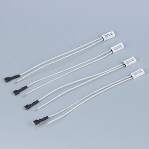 Fusible Térmico 20A 250V 40-160C con Cable Extendido para Electrodomésticos - Product Image 1