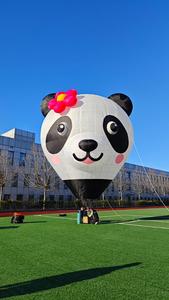 <span class=keywords><strong>Ballon</strong></span> publicitaire gonflable à l'hélium décoratif d'extérieur à prix abordable Zhongsheng, personnalisable - Product Image 2