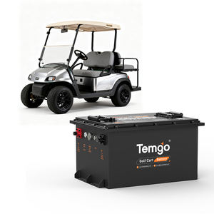 卸売ゴルフカートリチウム電池 5000+サイクル 36V 48V 72V 100ah 金属ケース Lifepo4 バッテリーパック ゴルフカート電気自動車用 - Product Image 1