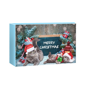 Eco-friendly Modern Cartoon Rubber & Plastic Feather <b>Cat</b> Christmas Advent Calendar Countdown Blind <b>Box</b> Chewing Toy Set - Product Image 1