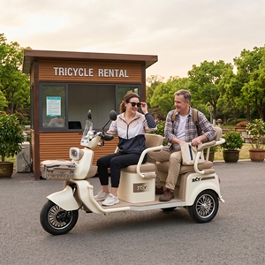 Tricycle électrique ZLT TP2C-E EEC L2e homologué pour la circulation en Allemagne, <span class=keywords><strong>France</strong></span>, <span class=keywords><strong>Espagne</strong></span> et sur le marché européen, facile à immatriculer - Product Image 1