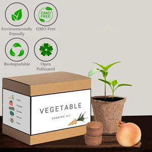 Kit da giardino interno per il giardinaggio domestico con i bambini per piantare Broccoli carote pomodoro zucchine-uso del pavimento - Product Image 6