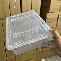 Cage pour insectes et reptiles Silkworm Guard Palace Ciliary Horn Spider, anti-évasion, en plastique écologique A4, avec couvercle et boîte d'alimentation