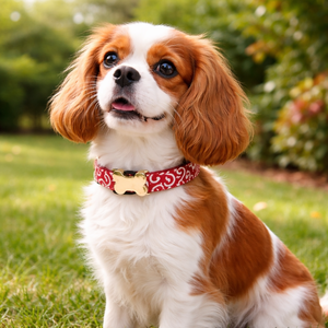 <span class=keywords><strong>Collar</strong></span> para Perro o Gato con Hebilla de Hueso, Serie de Tela Estampada a Cuadros, Suministros para Mascotas, Anillo para el Cuello, Nuevo Estilo, Grabado Personalizado - Product Image 6