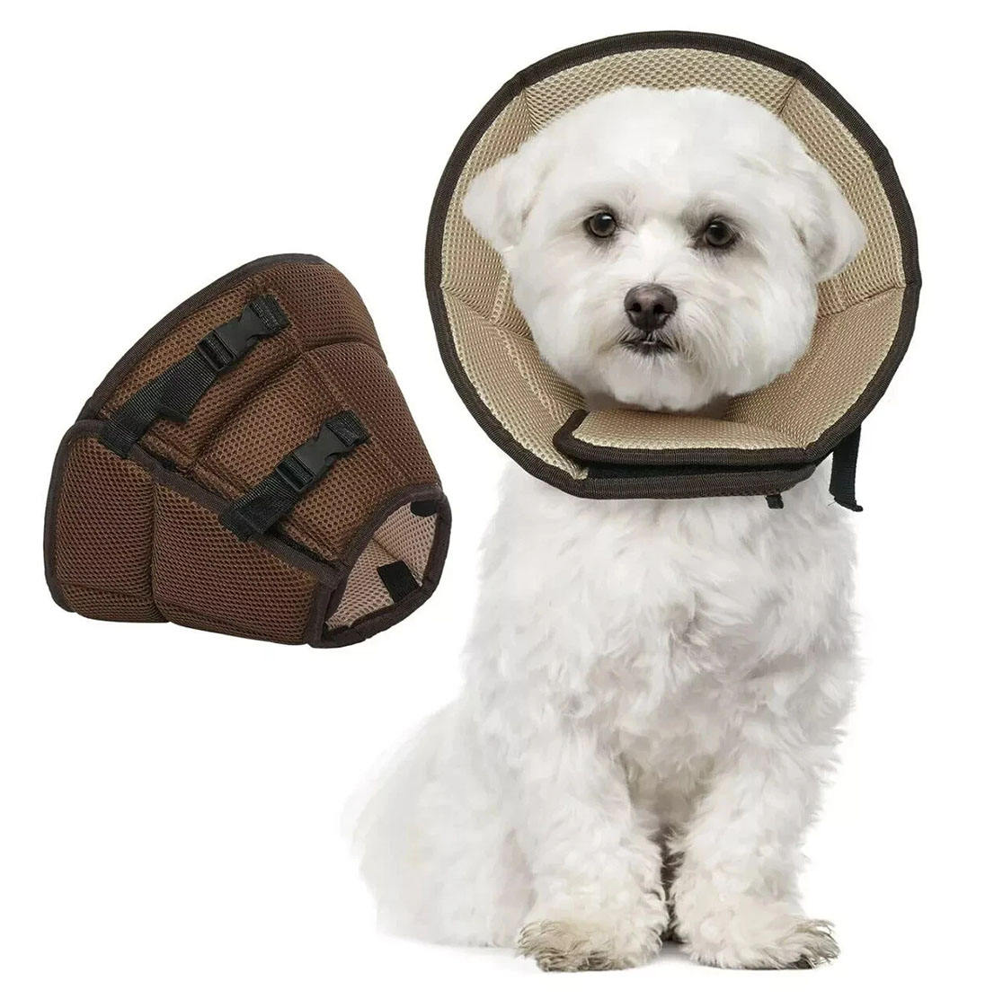 สีน้ำตาล