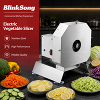 Elektrische Fruit- en Groentesnijder/Shredder 304 RVS 200kg/uur Bubble Tea Melkthee Winkel Citroensnijder Dubbele Modus Commercieel