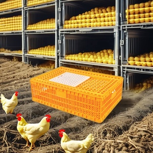 Plastic Chicken Transport Cage for <strong>Fighting</strong> <strong>Roosters</strong> Farming Equipment Animal Cages - Product Image 2