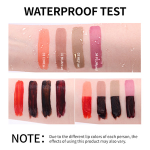 Exclusivo brillo de labios Peel-Off superventas impermeable terciopelo mate fácil de aplicar forma de lápiz logotipo de marca personalizado ingrediente Mineral - Product Image 2