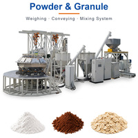 Machine d'emballage de poudre personnalisée pour la pesée, le remplissage et la scellage de la farine – Ligne de production industrielle en gros pour usine