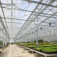 Bâtiment en acier galvanisé antirouille pour serre agricole, structure métallique haute résistance, abri de jardin durable