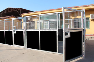 حظيرة خيول متينة من ألواح البولي إيثيلين عالي الكثافة مع إطار من الفولاذ المجلفن، مستودع منخفض الصيانة للمزارع - Product Image 3