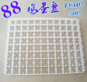 价格便宜鸡鸭鹅鹌鹑禽蛋托盘鸡蛋箱出售火鸡黄色动力鸟鸵鸟 - Product Image 2