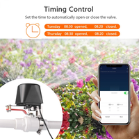 Válvula de Gas Eléctrica Inteligente Zigbee con Control por Aplicación WIFI, Control por Voz, Resistente al Agua, Temporizador de Cierre de Agua para Hogar, Jardín y Exteriores