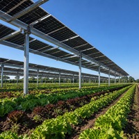 Système de montage solaire agrivoltaïque sur champ de légumes, structure de support photovoltaïque au sol pour ferme commerciale