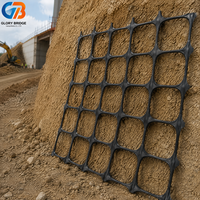 Geomalla Biaxial de Plástico de Buena Calidad para Construcción de Carreteras, Geomalla Biaxial al Mejor Precio con Muestra Gratuita, Refuerzo de Terreno Blando