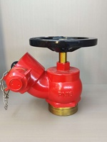 Vanne d'arrêt oblique pour hydrant d'incendie humide DN65, 15 bars, entrée BSPT, sortie 2,5 pouces BS336
