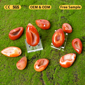 بيع بالجملة لحجر العقيق الأحمر الطبيعي على شكل بيضة للشفاء والديكور المنزلي - Product Image 3