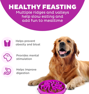 OKKPETS Cachorro Colorido Alimentador Lento Tigela Venda Quente Osso Em Forma De Plástico Gato <span class=keywords><strong>Pet</strong></span> Alimentador Lento Cachorro Tigela - Product Image 5