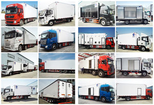 Trasporto di bestiame di pollame pulcino anatroccolo maialino giovane Baby Poussin a temperatura costante camion - Product Image 6