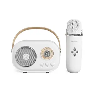 Bluetooth-Lautsprecher mit langer Akkulaufzeit Minikaraoke-System Lautsprecher kabellos Bluetooth Metall-Sound-Woofer-Lautsprecher