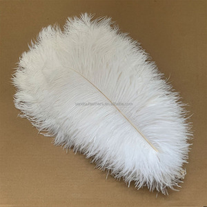 Plumas de Avestruz Blancas de 40-45 cm, 16-18 Pulgadas, Perfectas para Manualidades, Decoraciones de Carnaval, Centros de Mesa y Rellenos de Jarrones - Product Image 1